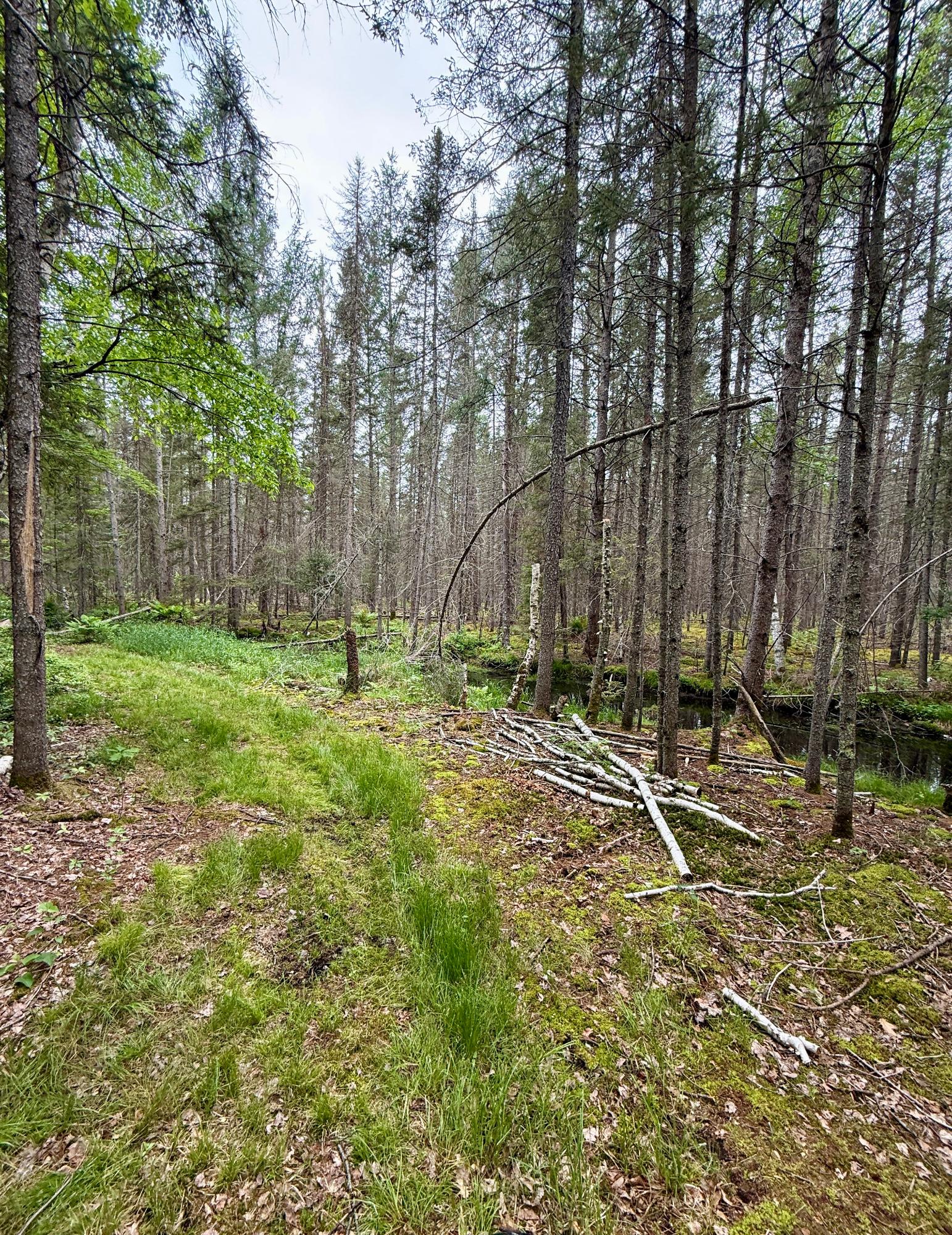 10617 PAT PHALEN RD