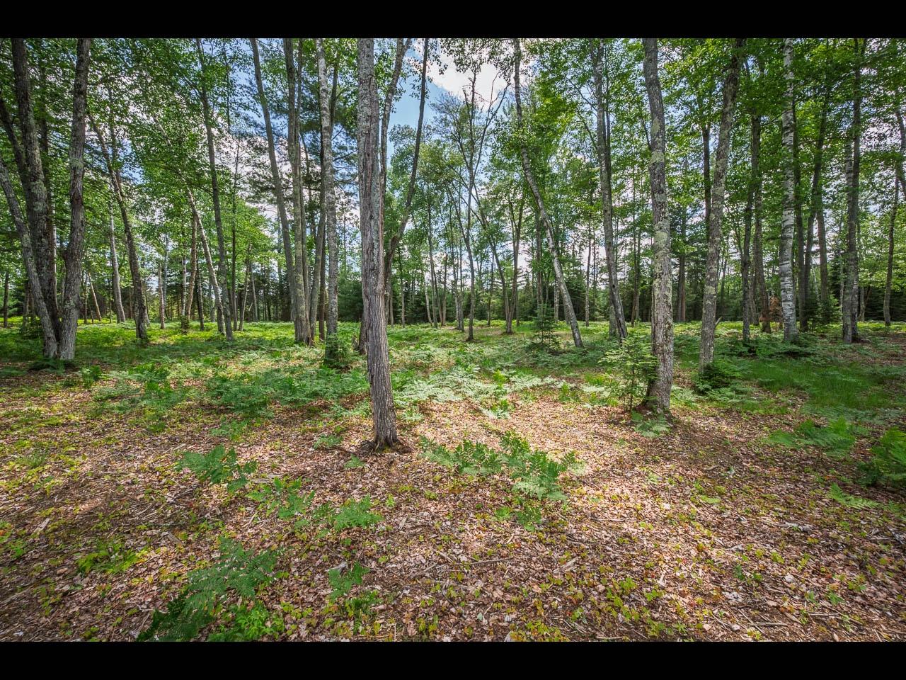 Lot 163 CLEARWATER LAKE TR