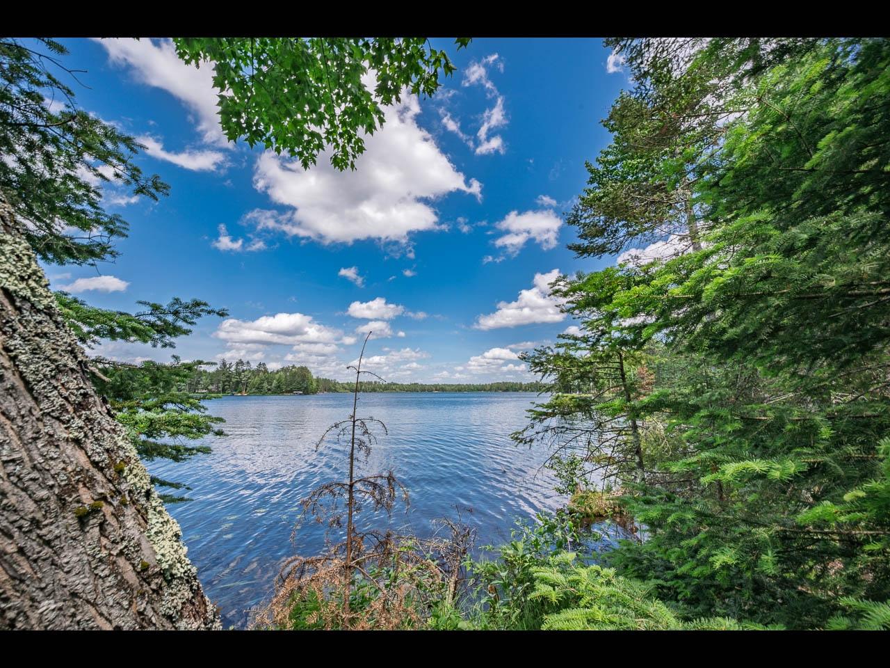 Lot 163 CLEARWATER LAKE TR