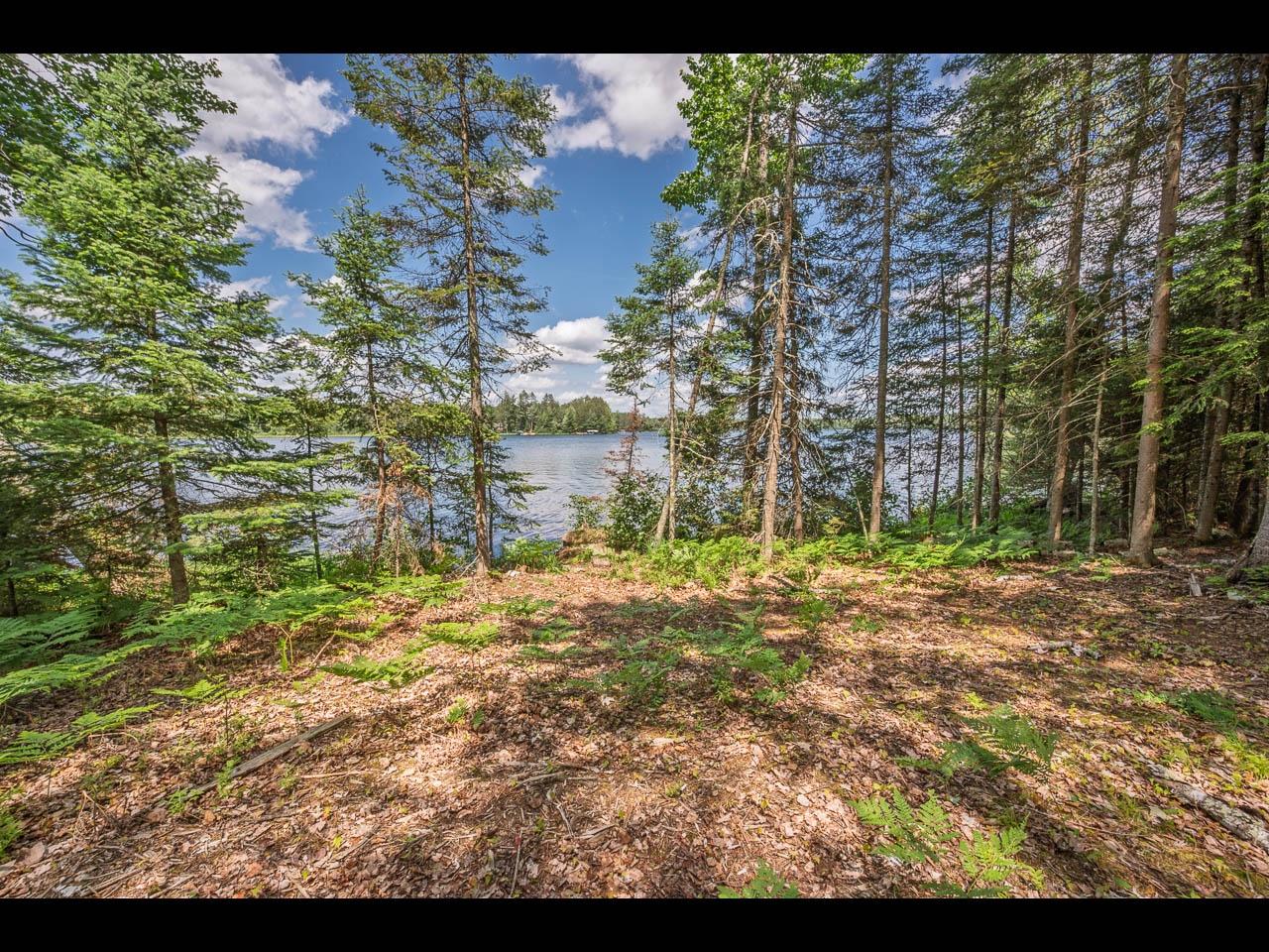 Lot 163 CLEARWATER LAKE TR