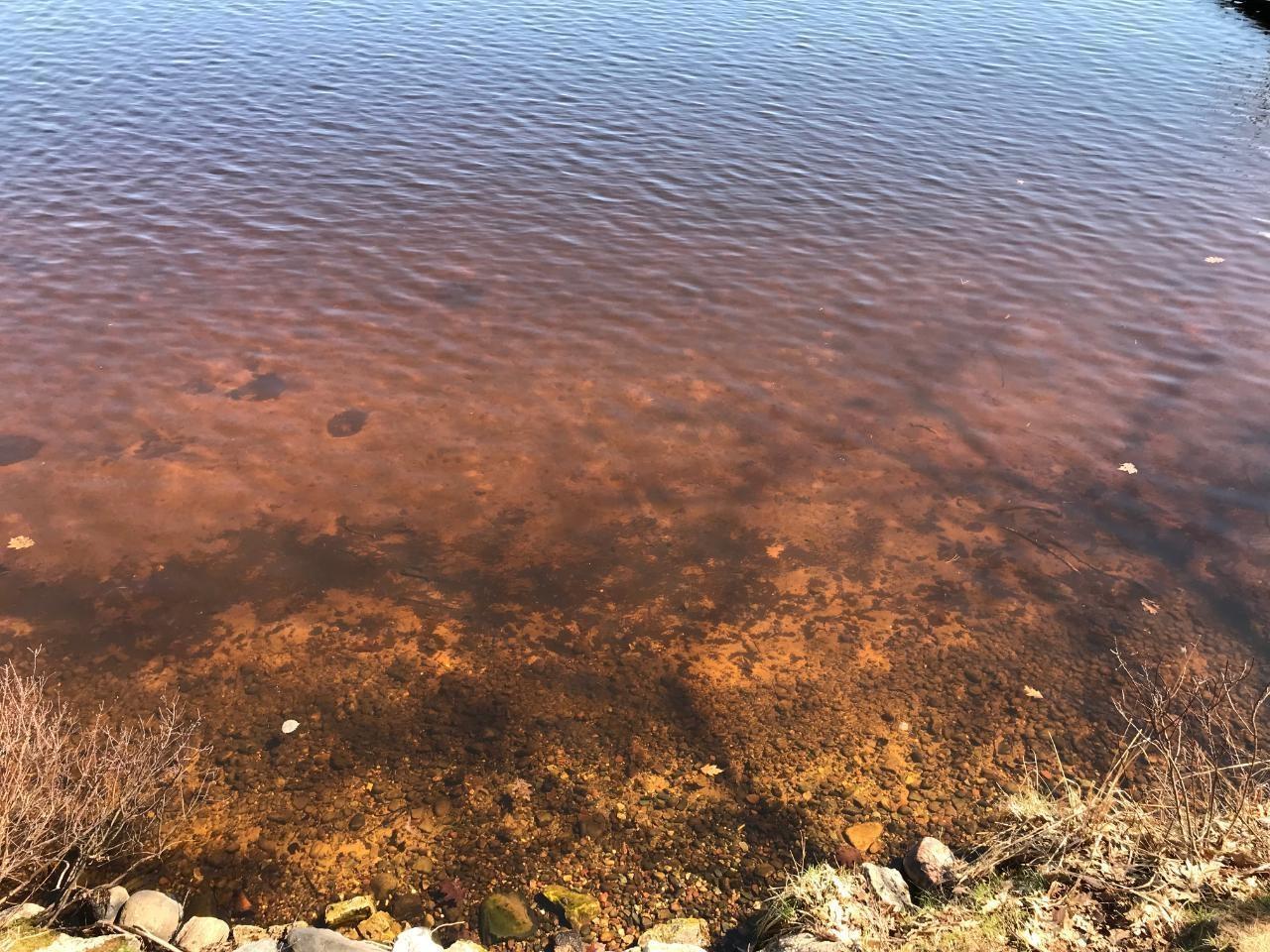 1146 CATFISH LAKE RD