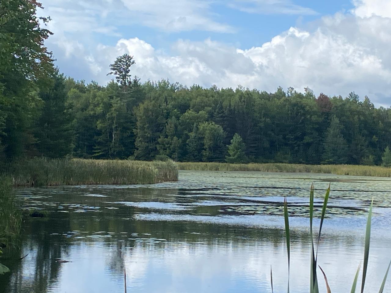 NEAR SCHMIDT LN