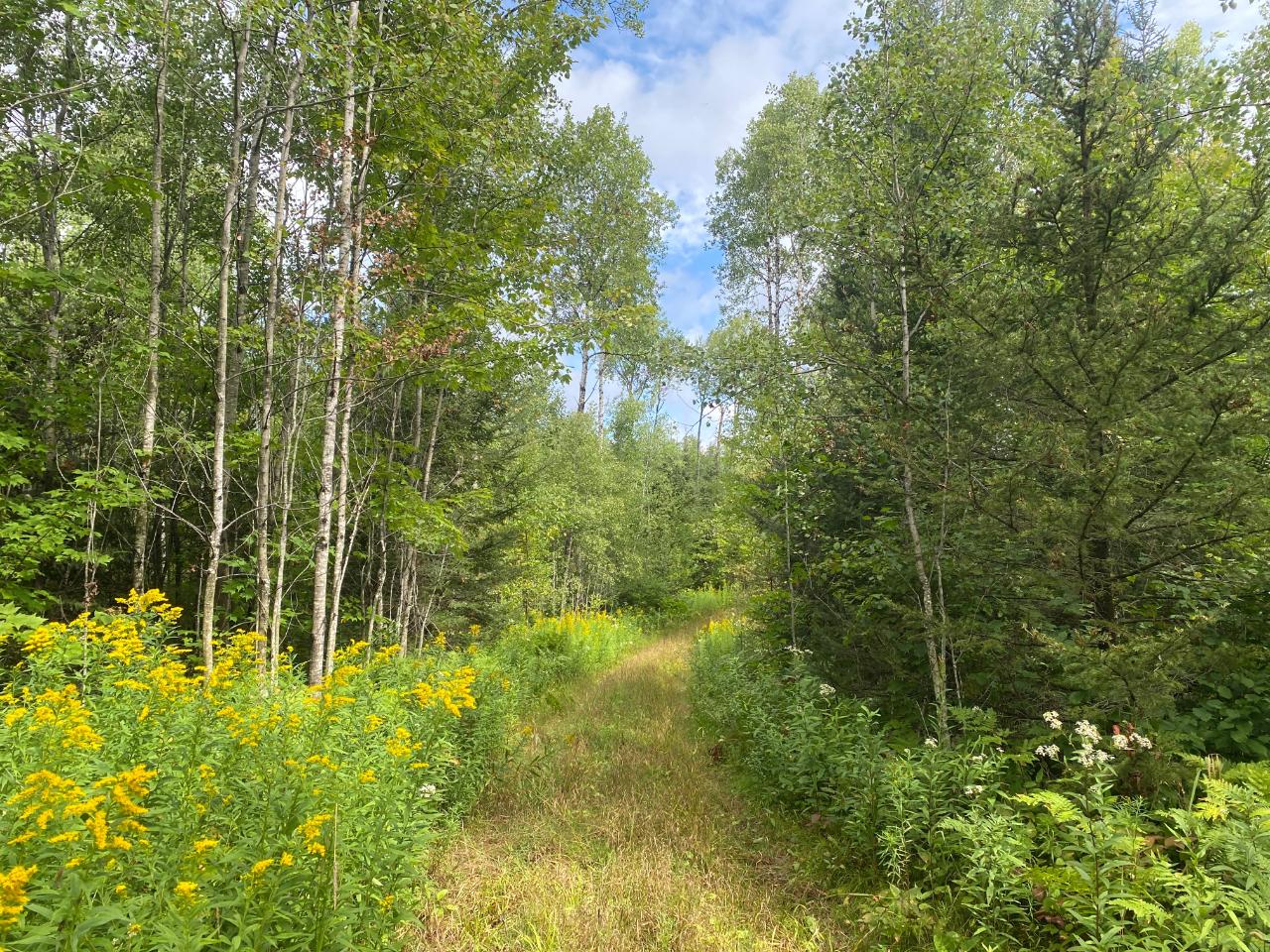 NEAR SCHMIDT LN