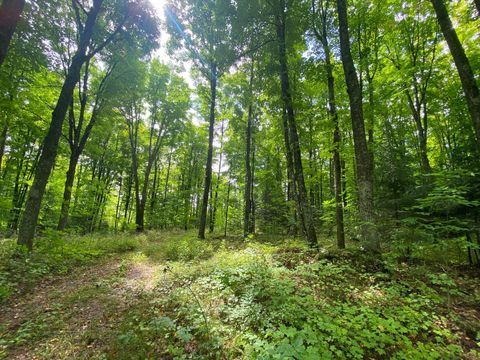 NEAR SCHMIDT LN Argonne WI 54511