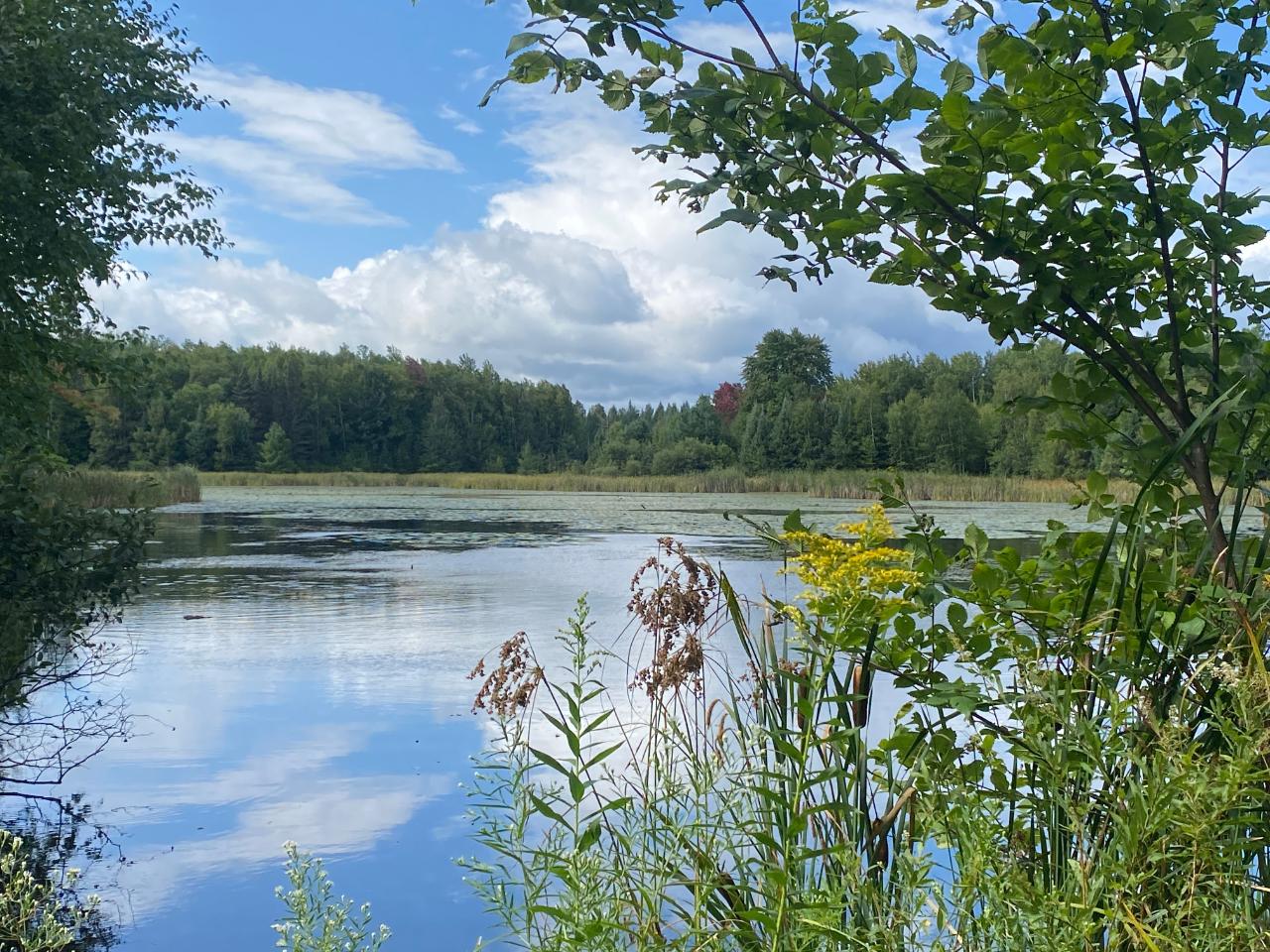 NEAR SCHMIDT LN