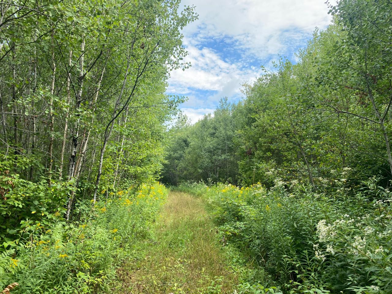 NEAR SCHMIDT LN