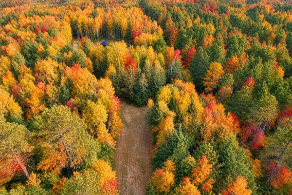 10053 SWAMP LAKE RD, TOMAHAWK, WI 54487 - Image cbc213b926835f87bdeadbbcbafaf8db/2884491145