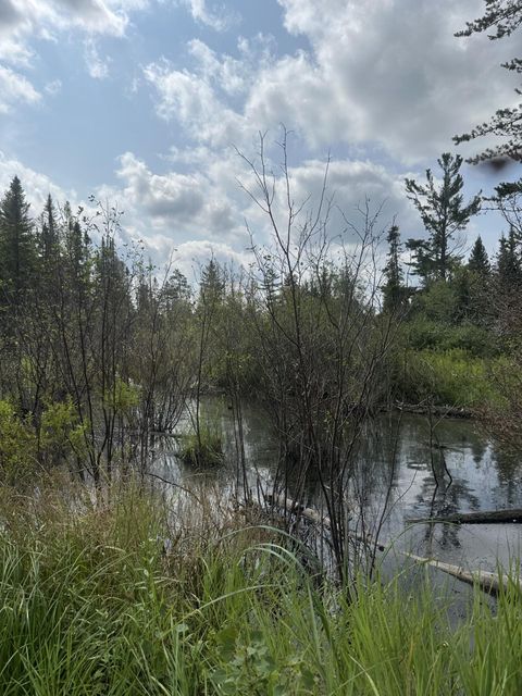 ON MALVERN FIRE LN Rhinelander WI 54501