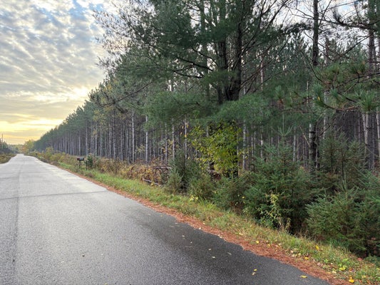 PLANTATION RD, PELICAN LAKE, WI 54463 - Image cf96f531b7e3a8f7a8f3b2dfb4ae5b2c/3902613334