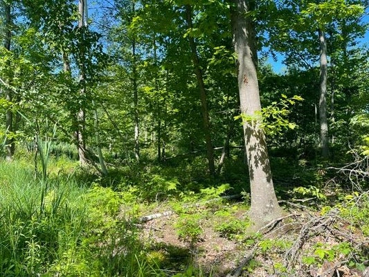SHAWANO LINE RD, GILLETT, WI 54124 - Image d149be207aeddd00b45d5315d67a4ffc/2742294188