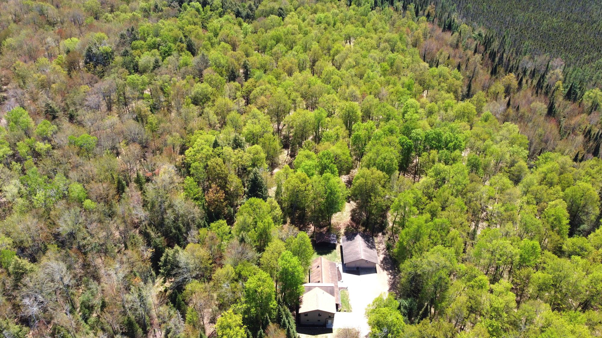5675 SPIDER LAKE RD