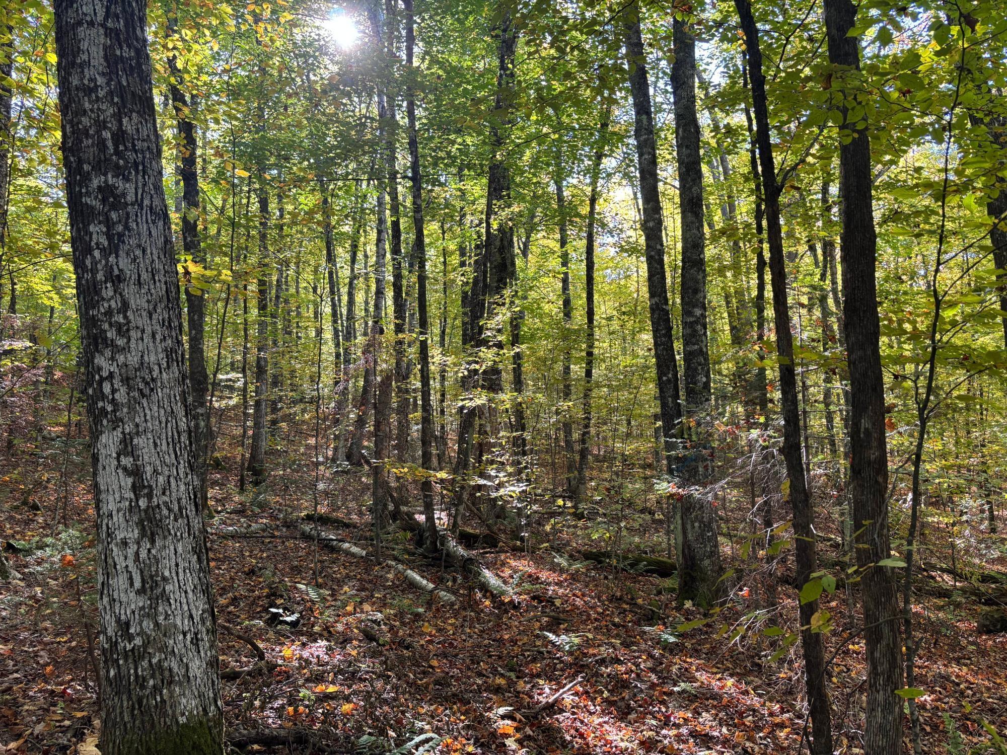 Lot 33 NICOLET SHORES LN