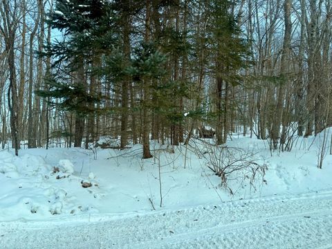 00 JONES AVE Wabeno WI 54566