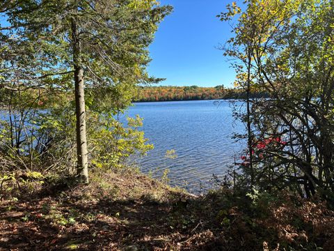 5 acres RETRIEVER LN Phelps WI 54554