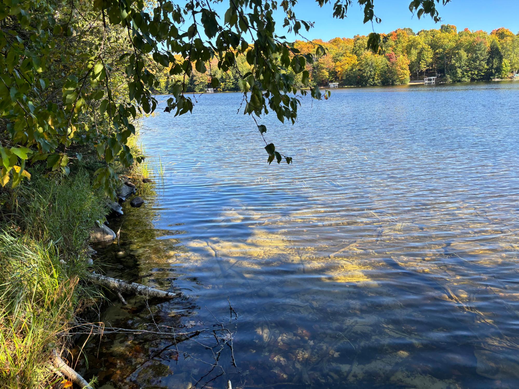 5 acres RETRIEVER LN