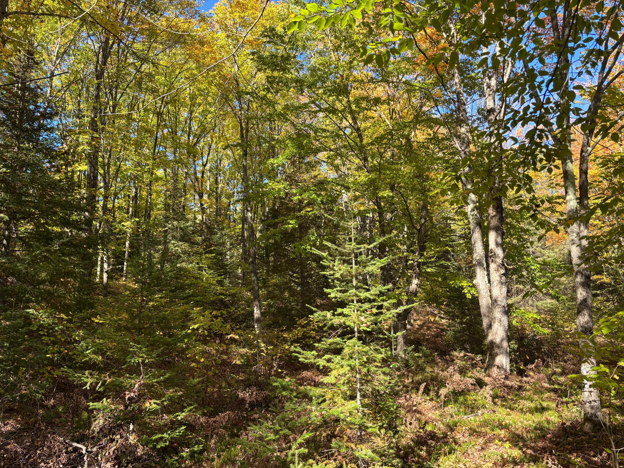 5 acres RETRIEVER LN