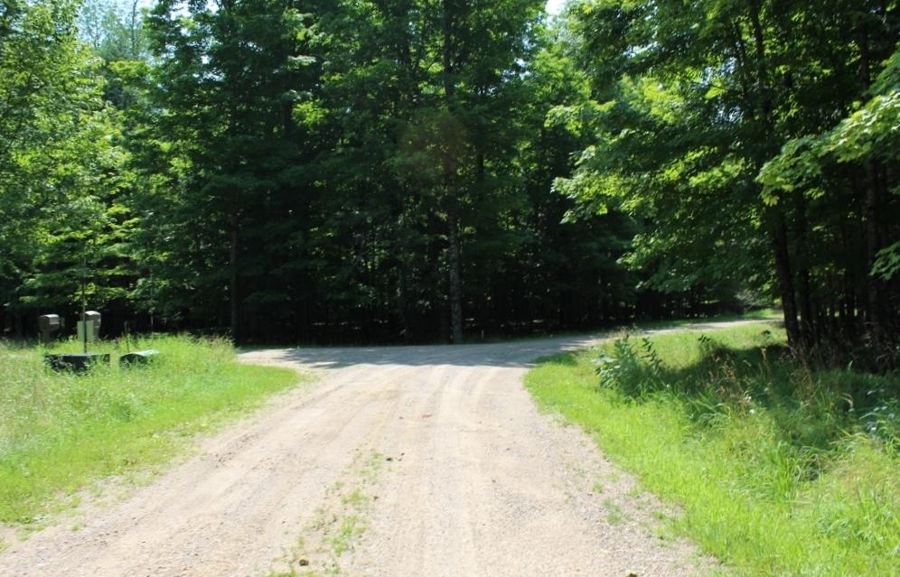 Lot 3 FOREST LN