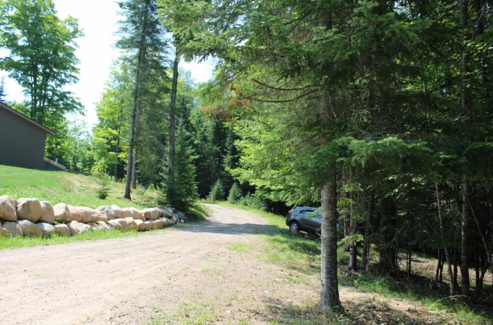 Lot 3 FOREST LN