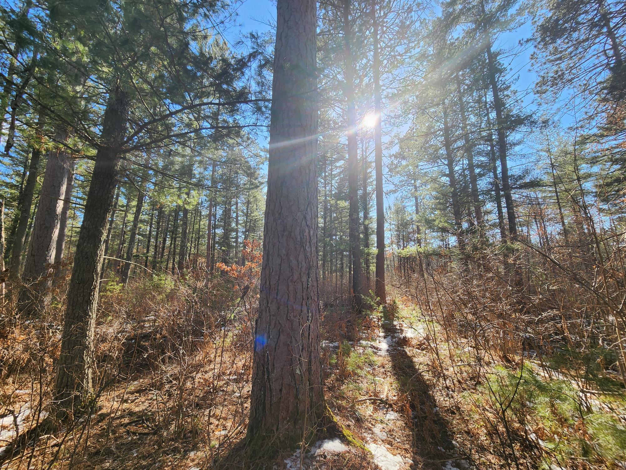 32 Acres HWY 70