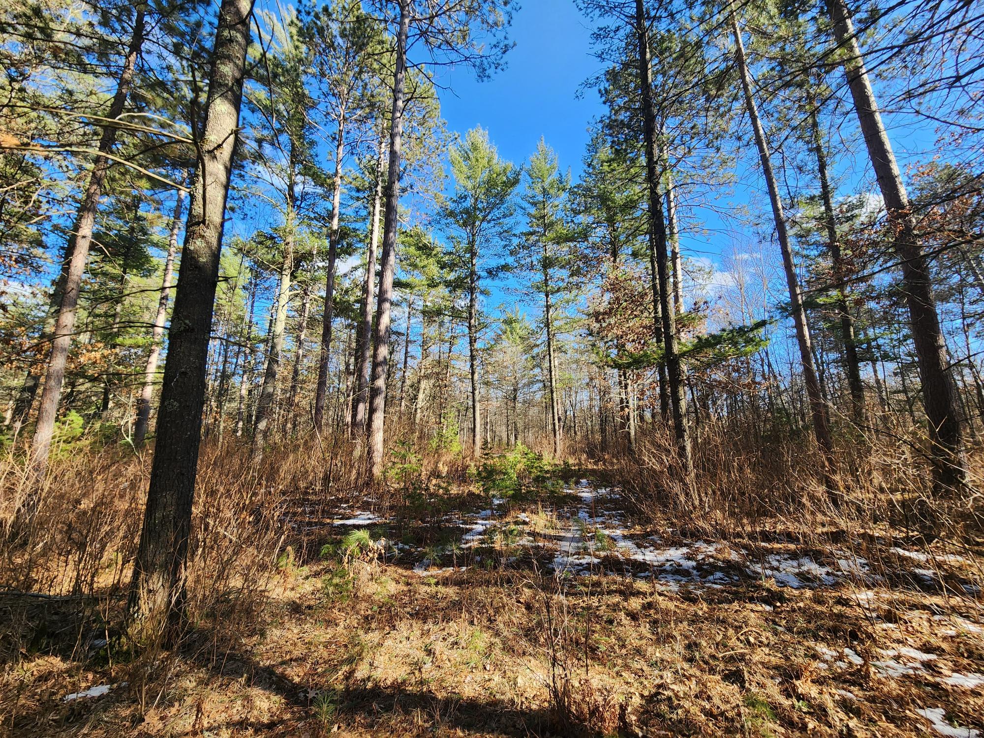 32 Acres HWY 70