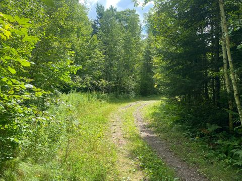 NEAR WARREN RD Park Falls WI 54552