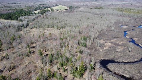 N2698 WEGNER RD Merrill WI 54452