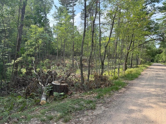ADDRESS PRIVATE, STAR LAKE, WI 54561 - Image dc286b558e4a6f967cf122e52c27dae9/126404196