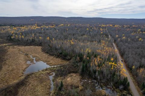 Lot on OLD LAKE RD Anderson WI 54840