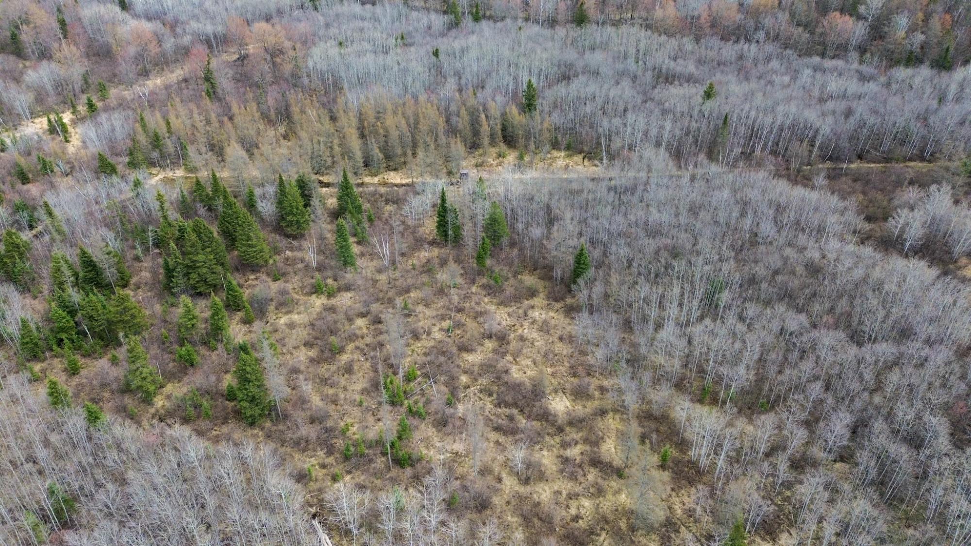 N6569 TOWN FOREST RD