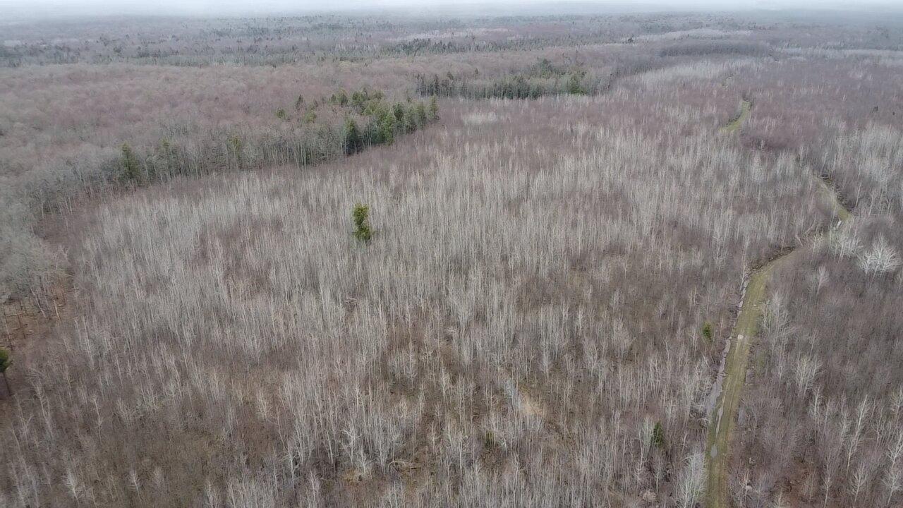 ON DOUBLE BEND RD 120 Ac