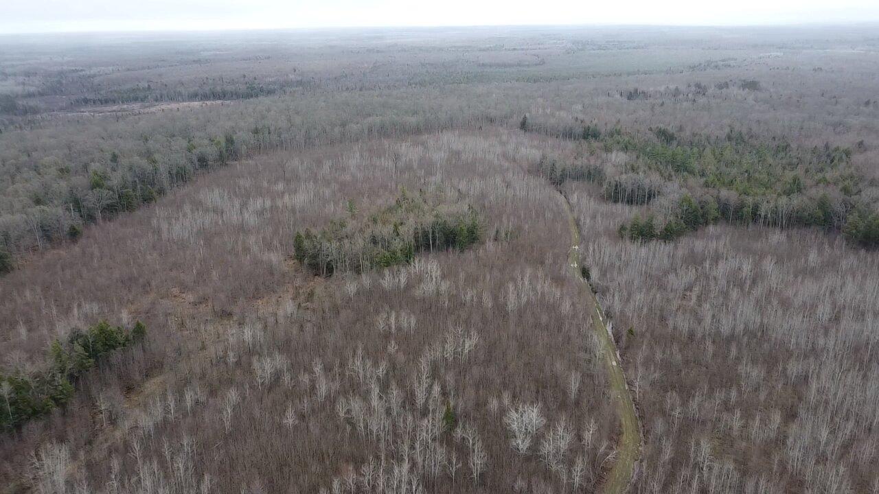 ON DOUBLE BEND RD 120 Ac
