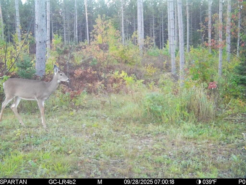 16 Acres HWY 139