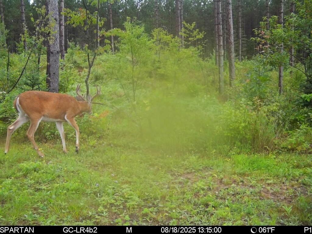 16 Acres HWY 139