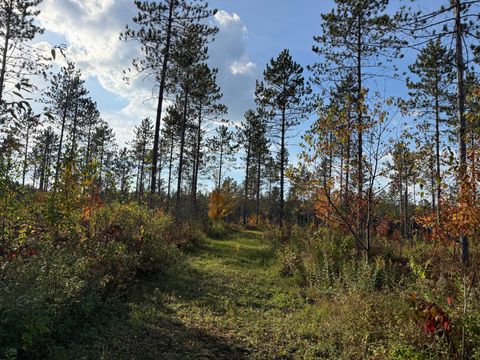 16 Acres HWY 139 Argonne WI 54511