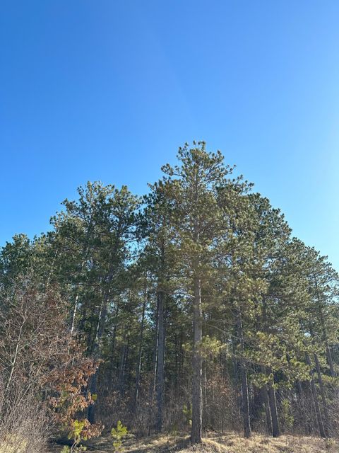 ON SPRING CREEK DR 4080-4 Tomahawk WI 54487