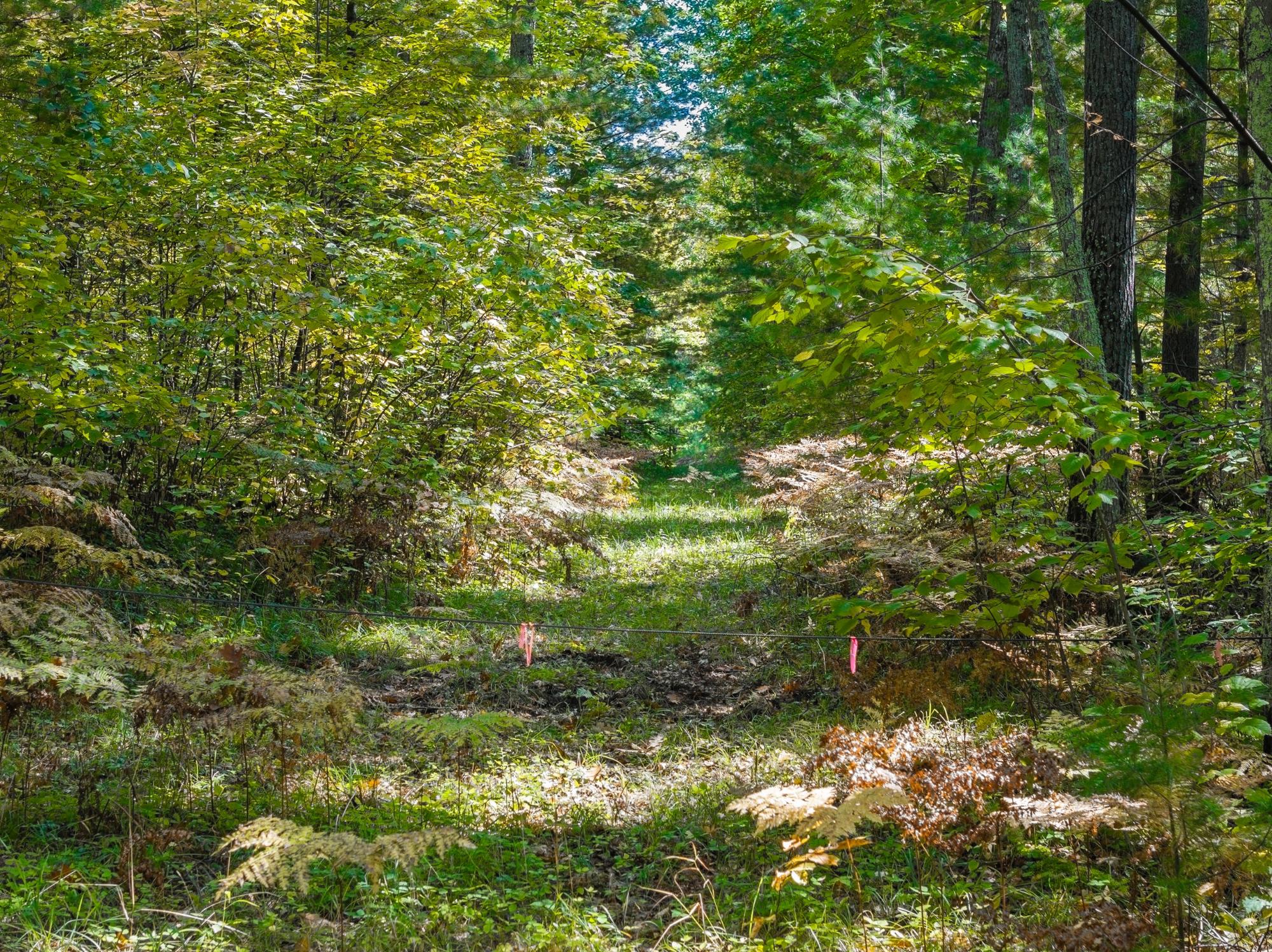 33 Acres LAKE YAWKEY DR