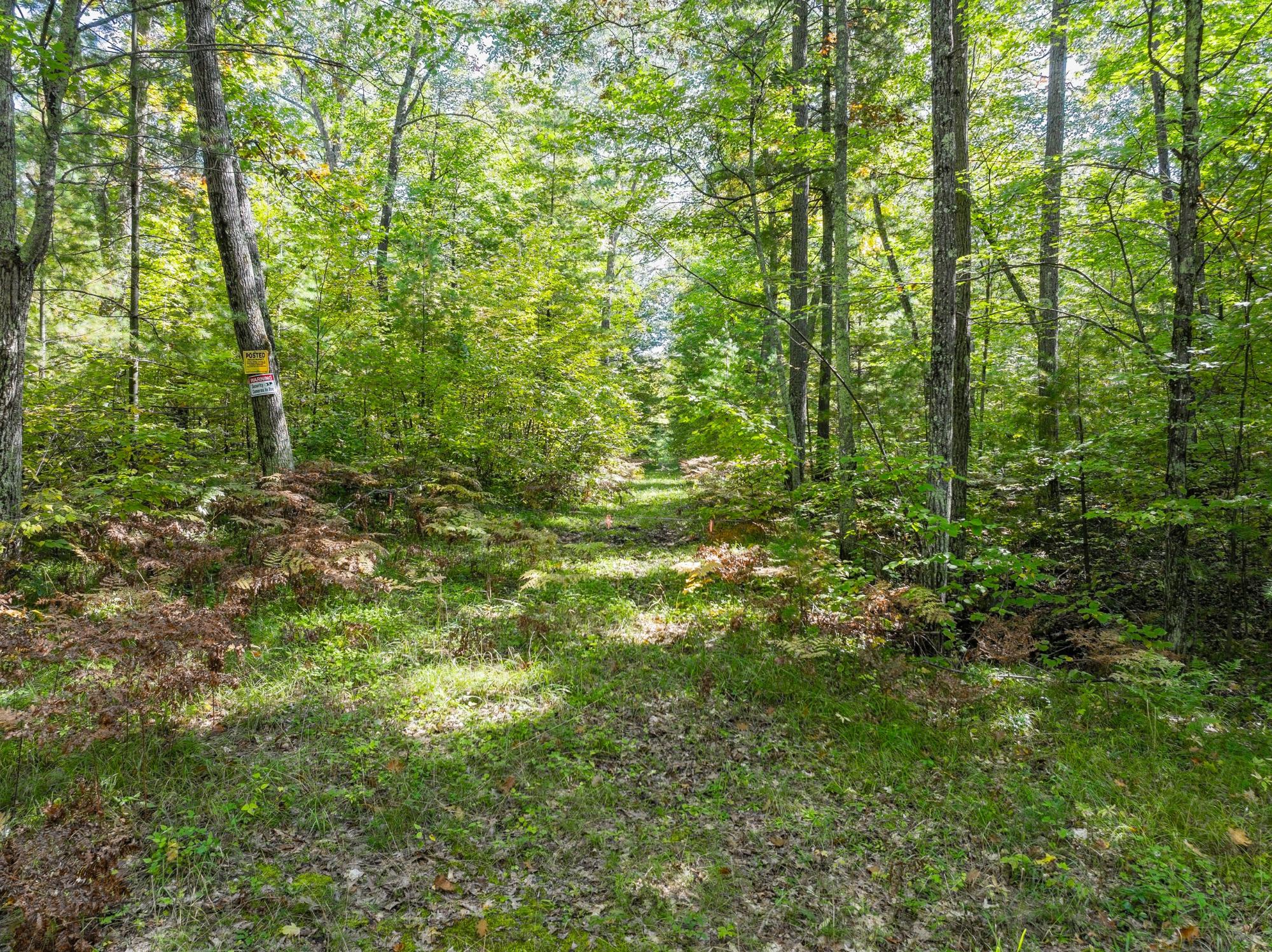 33 Acres LAKE YAWKEY DR