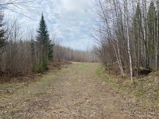 WILSON LAKE RD, PHILLIPS, WI 54555 - Image e5fc1d8828e4f36e3f5fe080dfdf30aa/1343516848