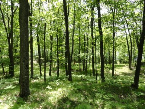 LT 18 BEAR LAKE RD  WI 54566