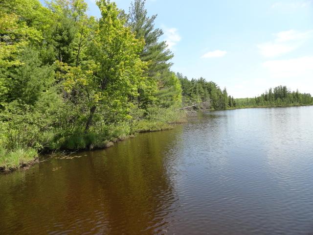LT 18 BEAR LAKE RD