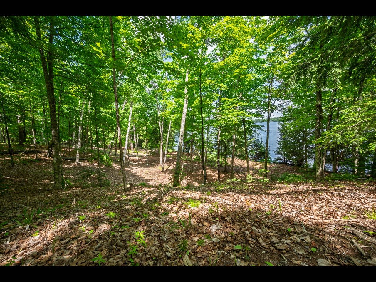 Lot 136 CLEARWATER LAKE TR