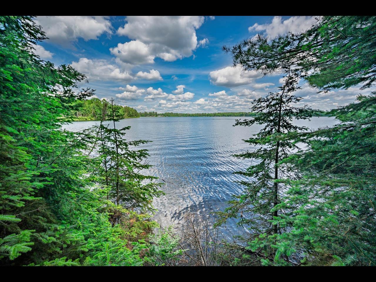 Lot 136 CLEARWATER LAKE TR