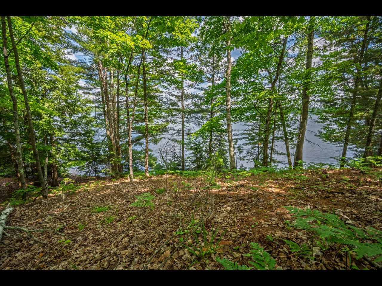 Lot 136 CLEARWATER LAKE TR