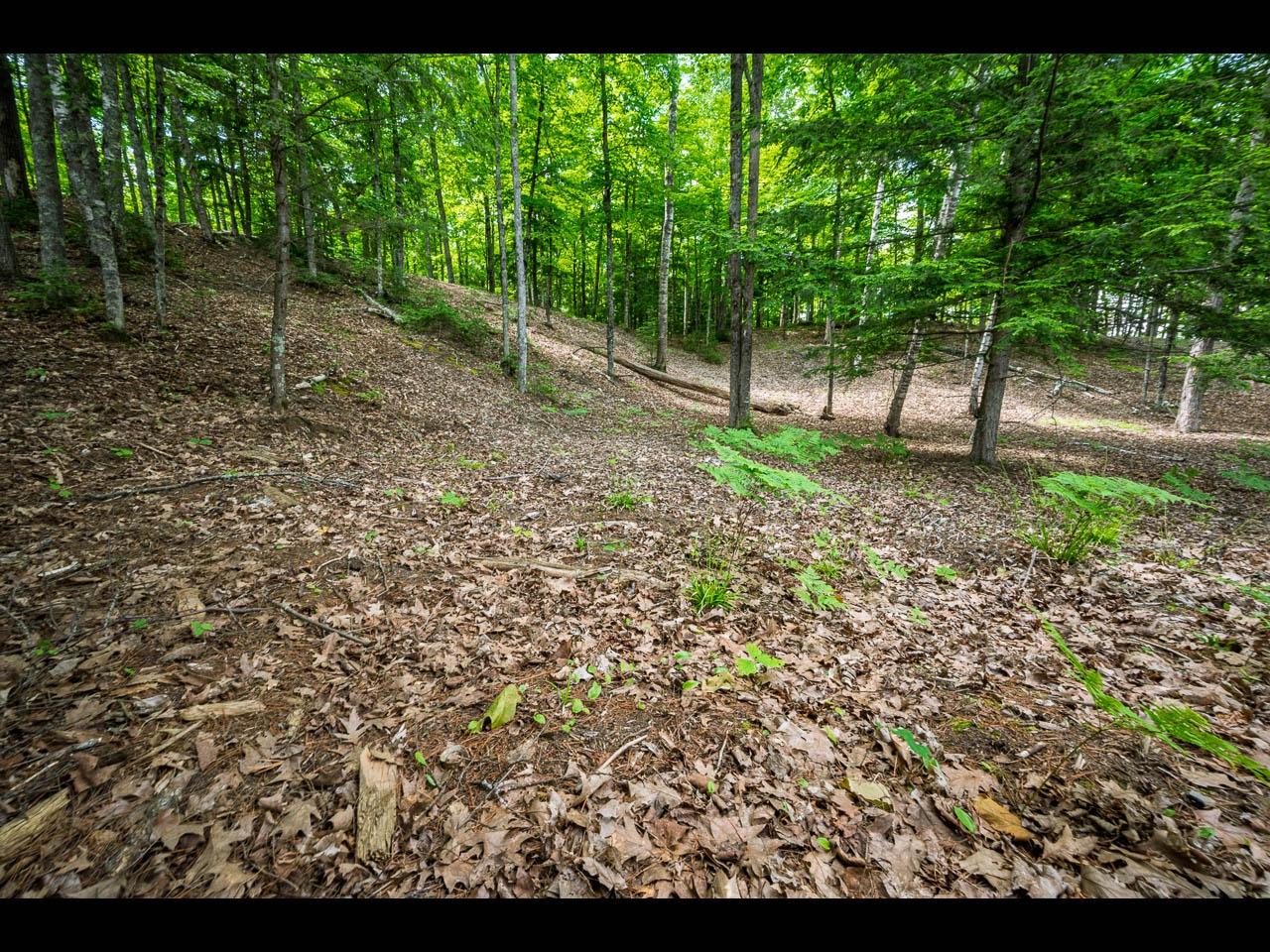 Lot 136 CLEARWATER LAKE TR