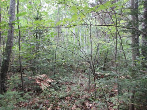 000 CTH M Crandon WI 54520