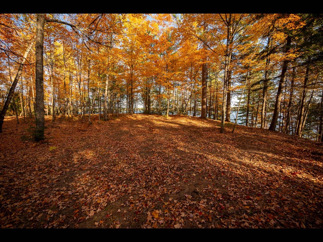 Lot 134 CLEARWATER LAKE TR