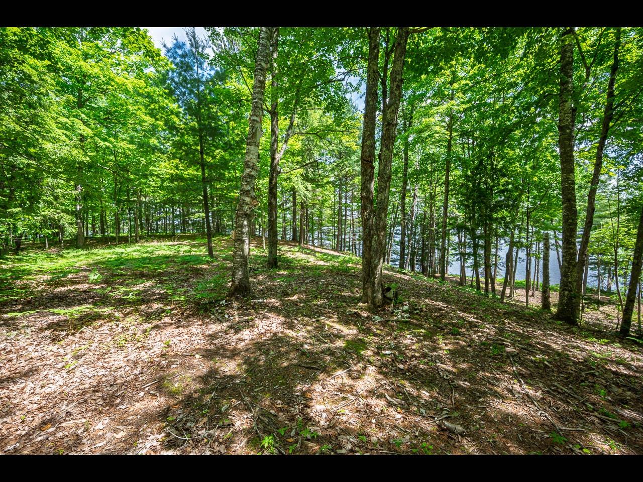 Lot 134 CLEARWATER LAKE TR