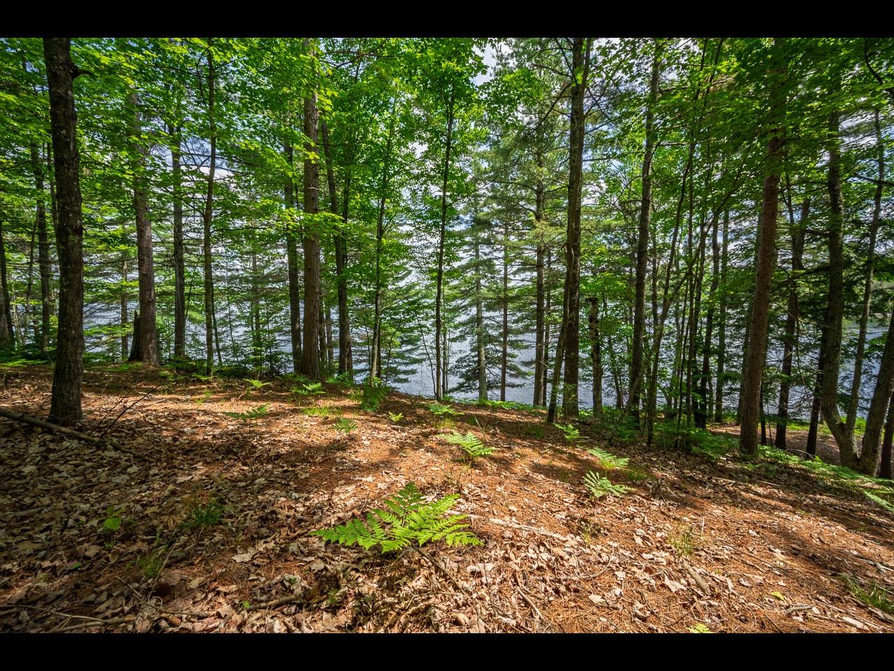 Lot 134 CLEARWATER LAKE TR