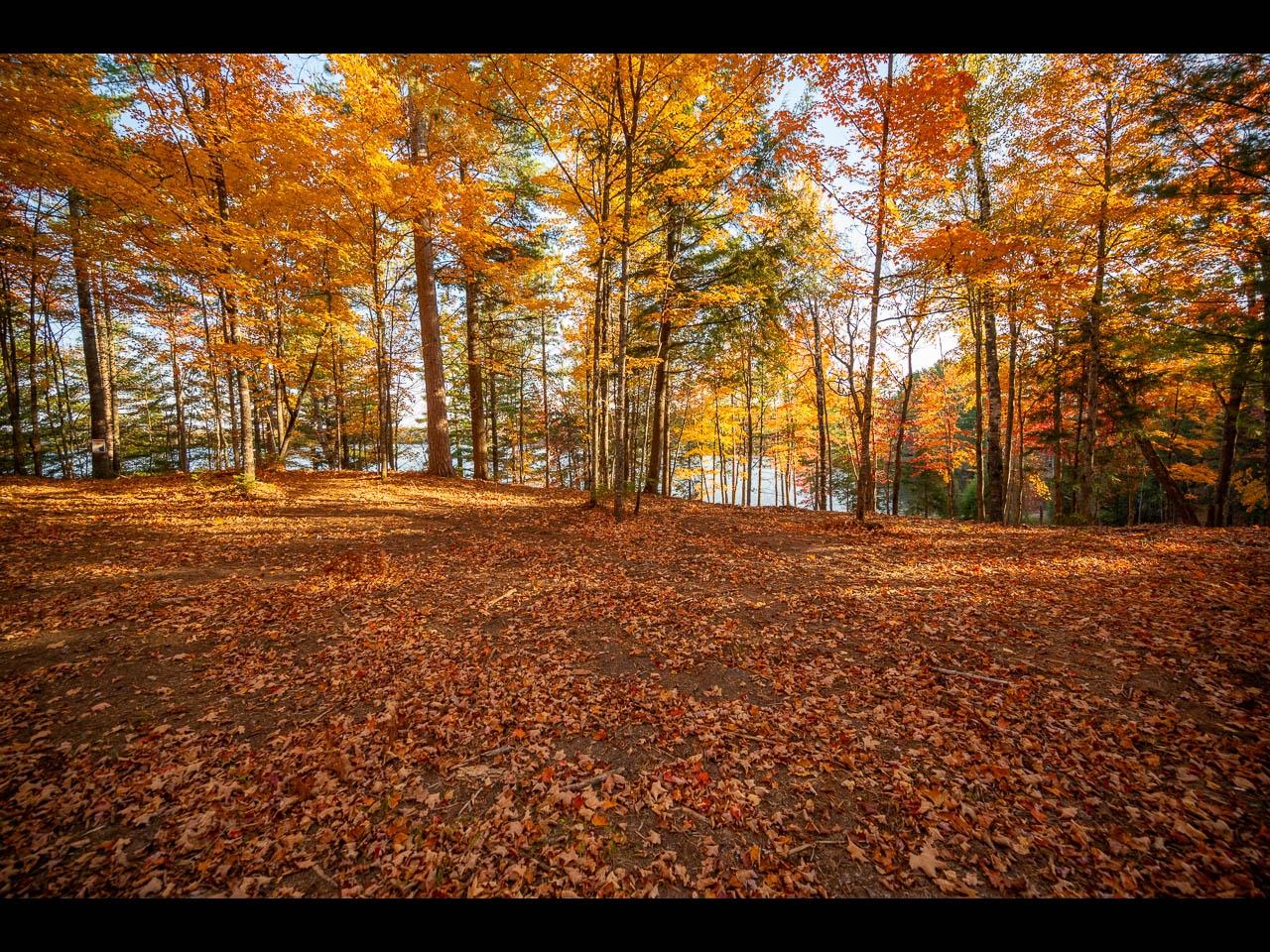 Lot 134 CLEARWATER LAKE TR
