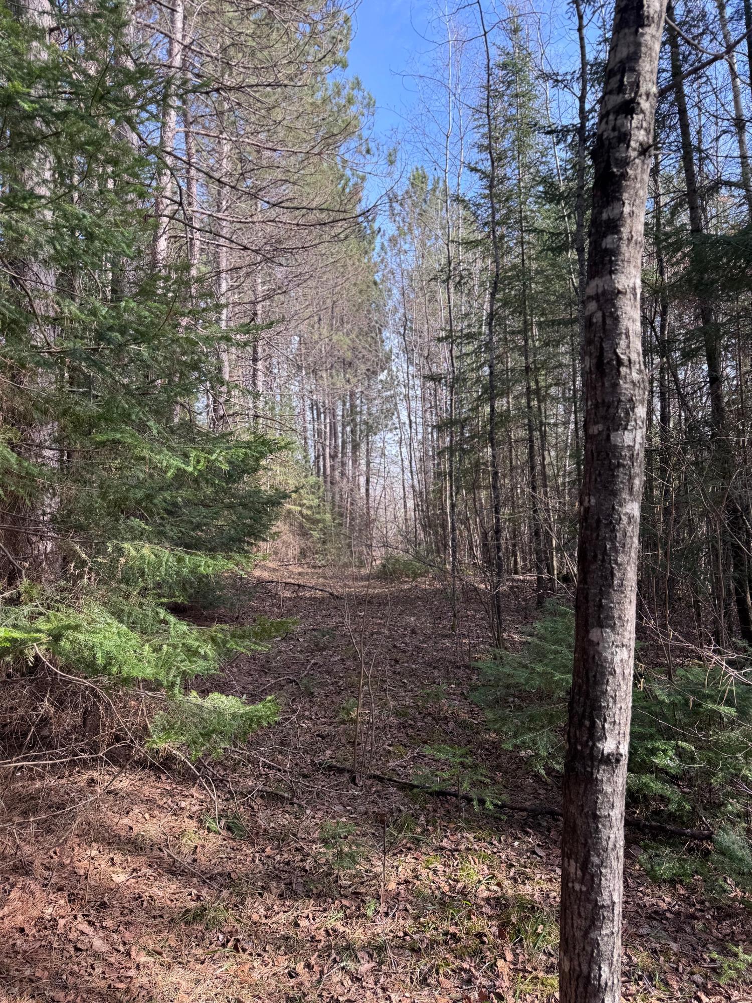 0000 PINE LAKE RD 268 Acres